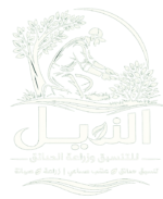 تنسيق حدائق جدة -النيل لتنسيق الحدائق